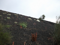 Monte_Rinatu - 20110615 085.jpg